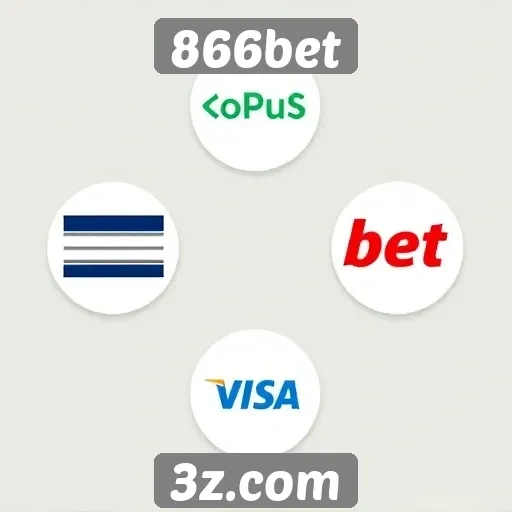 Métodos de pagamento aceitos no 866bet